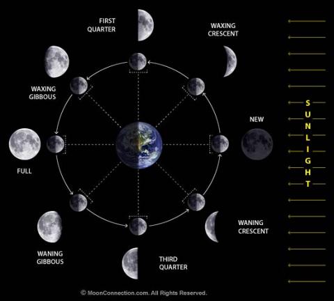 Diagram of Moon phases around Earth: New Moon, Waxing Crescent, First Quarter, Waxing Gibbous, Full Moon, Waning Gibbous, Third Quarter, and Waning Crescent, with sunlight direction indicated